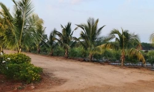 IMG-20210915-WA0056-600x375